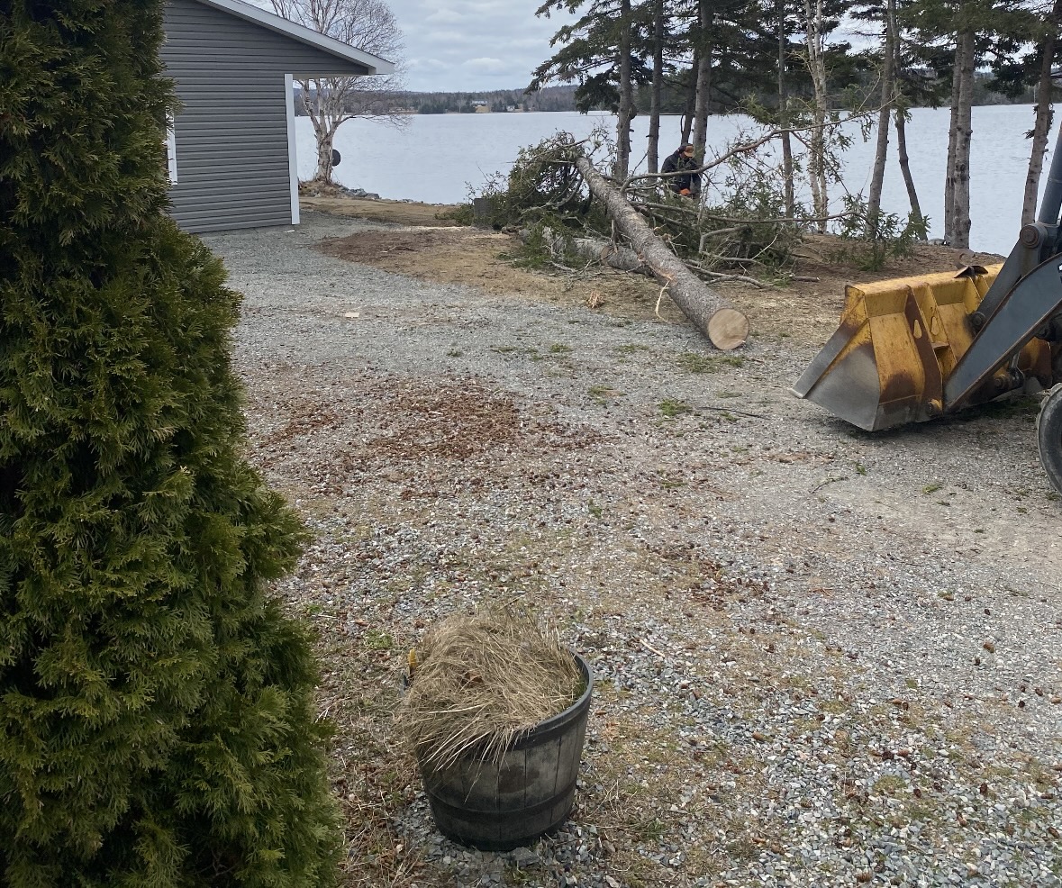 Asphalt Driveway